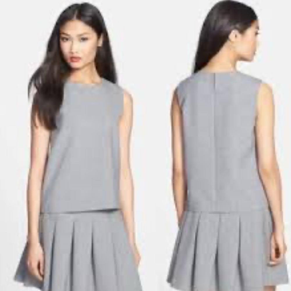 Diane Von Furstenberg Gray Pleated Skirt and Matching Top